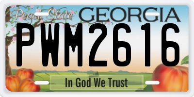 GA license plate PWM2616