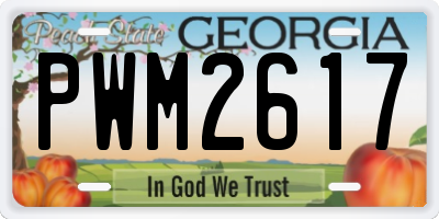 GA license plate PWM2617