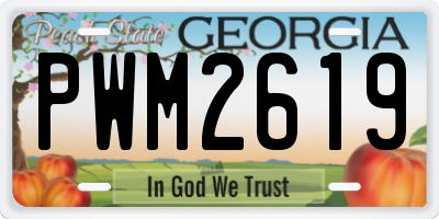GA license plate PWM2619