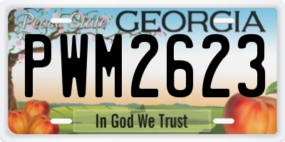 GA license plate PWM2623