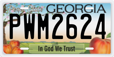GA license plate PWM2624