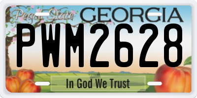 GA license plate PWM2628