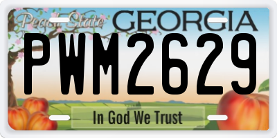 GA license plate PWM2629