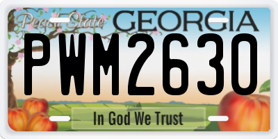 GA license plate PWM2630