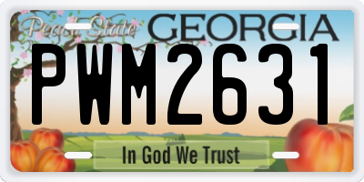 GA license plate PWM2631
