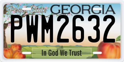 GA license plate PWM2632