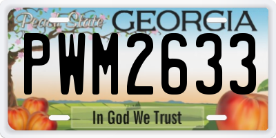 GA license plate PWM2633
