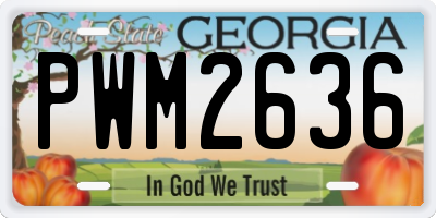 GA license plate PWM2636