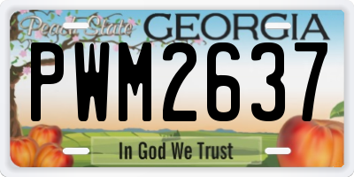 GA license plate PWM2637