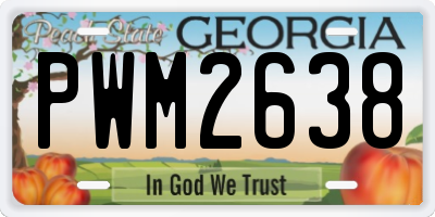 GA license plate PWM2638