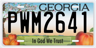 GA license plate PWM2641