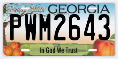 GA license plate PWM2643