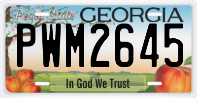 GA license plate PWM2645