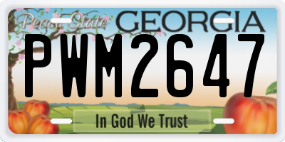 GA license plate PWM2647