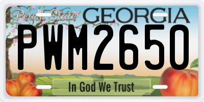 GA license plate PWM2650