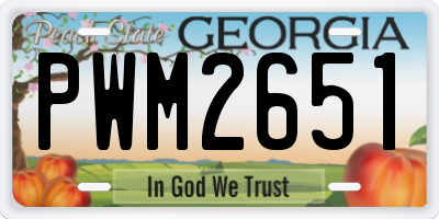 GA license plate PWM2651