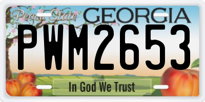 GA license plate PWM2653