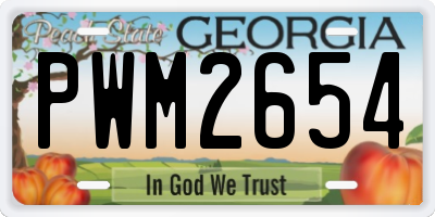 GA license plate PWM2654