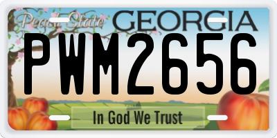 GA license plate PWM2656
