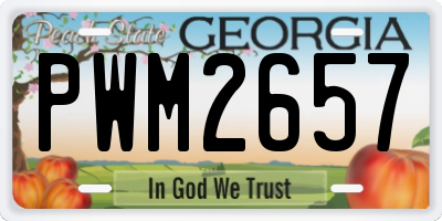 GA license plate PWM2657