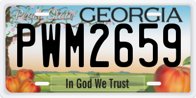 GA license plate PWM2659