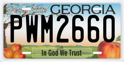 GA license plate PWM2660
