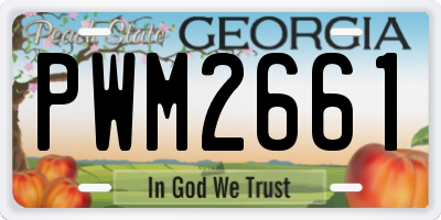 GA license plate PWM2661