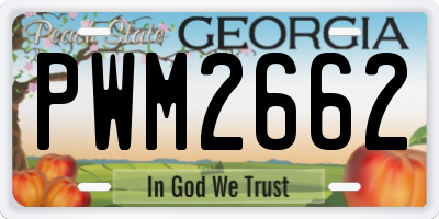 GA license plate PWM2662