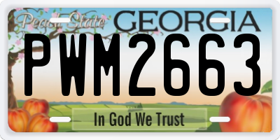 GA license plate PWM2663