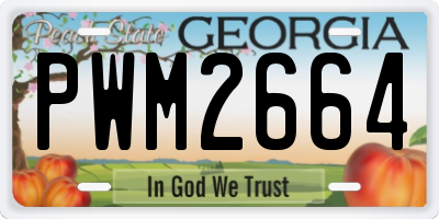 GA license plate PWM2664
