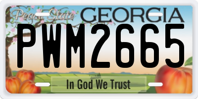 GA license plate PWM2665