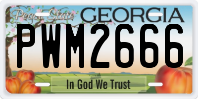 GA license plate PWM2666