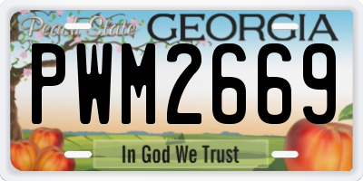 GA license plate PWM2669