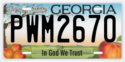 GA license plate PWM2670