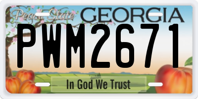 GA license plate PWM2671