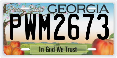 GA license plate PWM2673