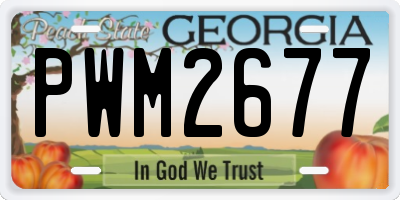 GA license plate PWM2677