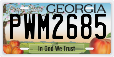 GA license plate PWM2685