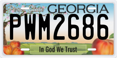 GA license plate PWM2686