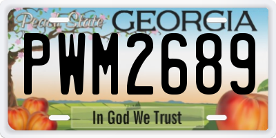GA license plate PWM2689