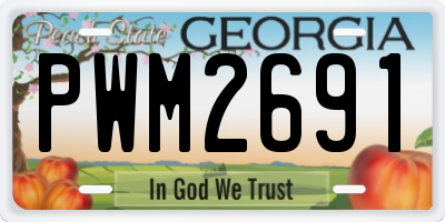 GA license plate PWM2691