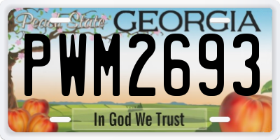 GA license plate PWM2693