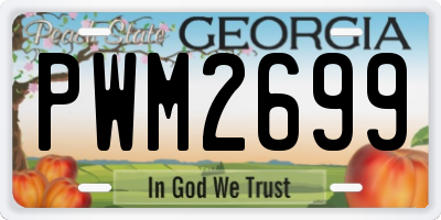 GA license plate PWM2699