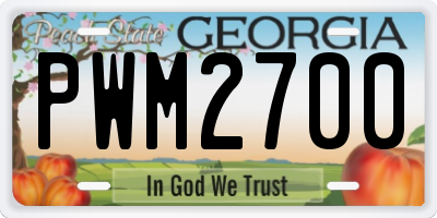 GA license plate PWM2700