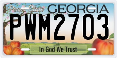 GA license plate PWM2703