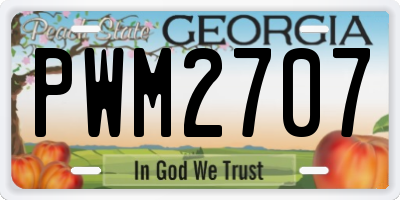 GA license plate PWM2707