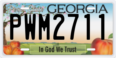 GA license plate PWM2711