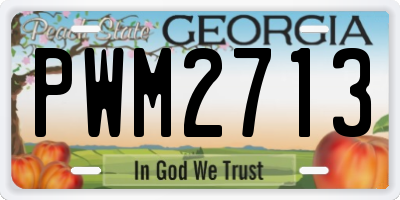GA license plate PWM2713