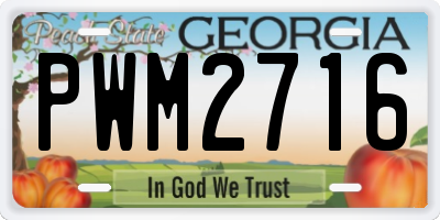 GA license plate PWM2716