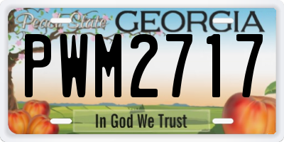 GA license plate PWM2717